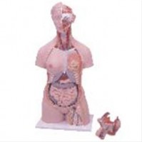 /album/galeria-de-fotos-galeria-de-fotos/a247-jpg1/