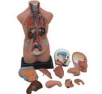 /album/galeria-de-fotos-galeria-de-fotos/a248-jpg1/