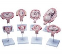 /album/galeria-de-fotos-galeria-de-fotos/a249-jpg/